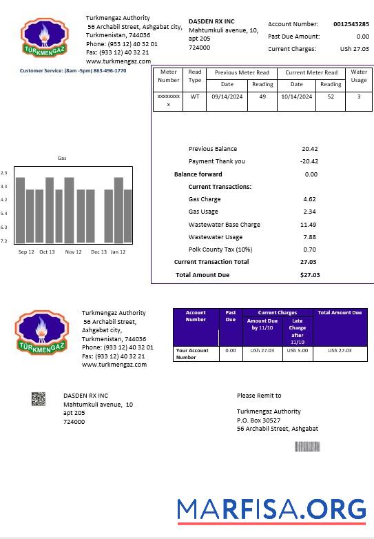Downloadable Turkmenistan Turkmengaz business utility bill template in Word and PDF formats